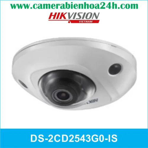 CAMERA HIKVISION DS-2CD2543G0-IS